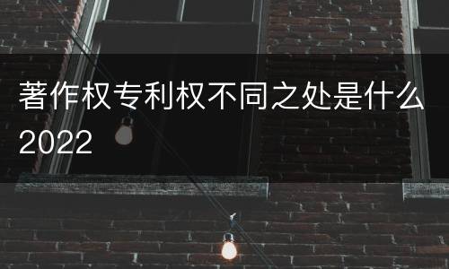 著作权专利权不同之处是什么2022