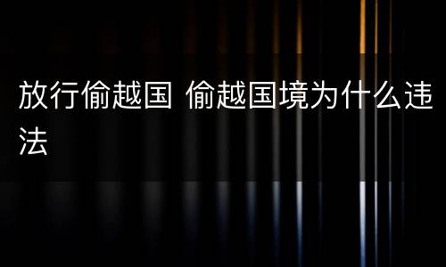 放行偷越国 偷越国境为什么违法