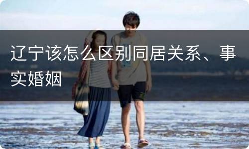 辽宁该怎么区别同居关系、事实婚姻