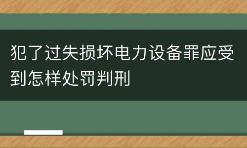 犯了过失损坏电力设备罪应受到怎样处罚判刑