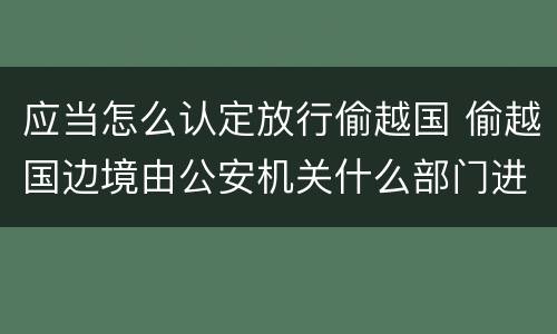 应当怎么认定放行偷越国 偷越国边境由公安机关什么部门进行处罚