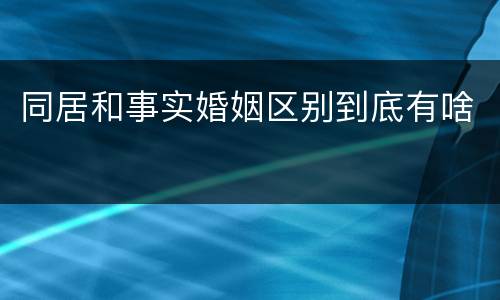 同居和事实婚姻区别到底有啥