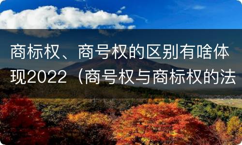 商标权、商号权的区别有啥体现2022（商号权与商标权的法律冲突与解决）