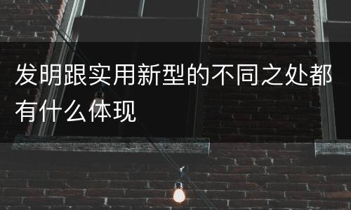 发明跟实用新型的不同之处都有什么体现