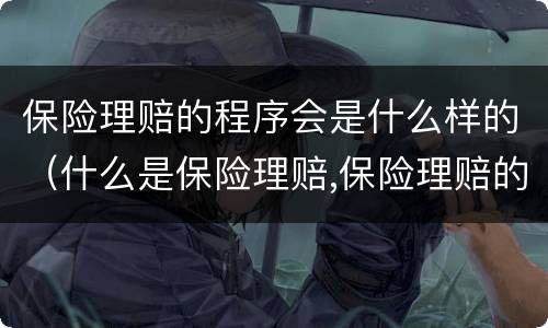 保险理赔的程序会是什么样的（什么是保险理赔,保险理赔的程序）