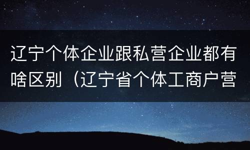 辽宁个体企业跟私营企业都有啥区别（辽宁省个体工商户营业执照）