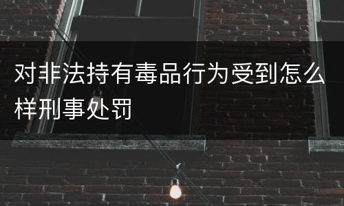 对非法持有毒品行为受到怎么样刑事处罚