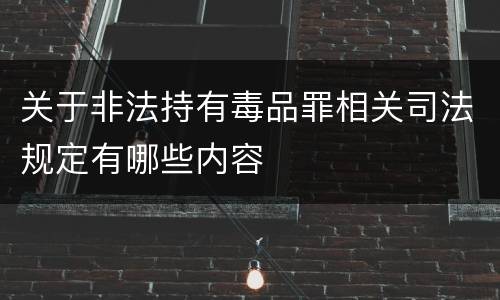 关于非法持有毒品罪相关司法规定有哪些内容