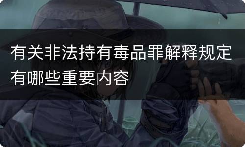 有关非法持有毒品罪解释规定有哪些重要内容