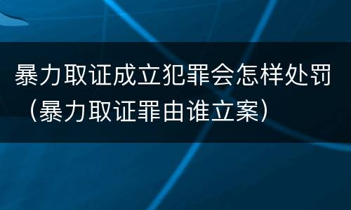 暴力取证成立犯罪会怎样处罚（暴力取证罪由谁立案）