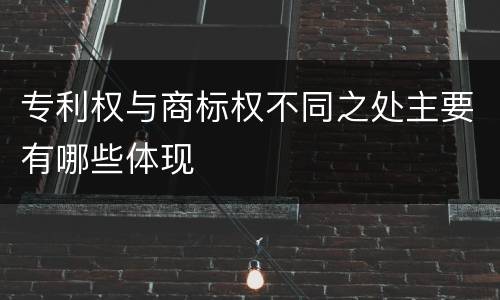 专利权与商标权不同之处主要有哪些体现