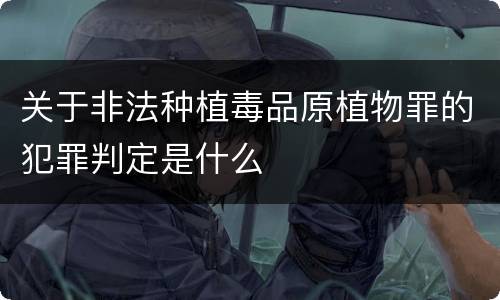 关于非法种植毒品原植物罪的犯罪判定是什么