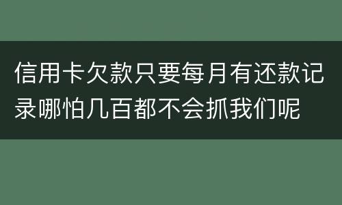 信用卡欠款只要每月有还款记录哪怕几百都不会抓我们呢