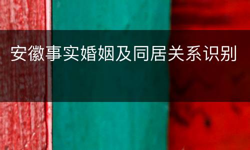 安徽事实婚姻及同居关系识别