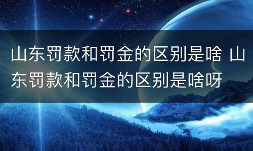 山东罚款和罚金的区别是啥 山东罚款和罚金的区别是啥呀