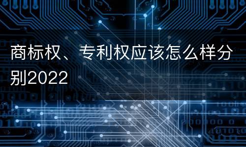 商标权、专利权应该怎么样分别2022