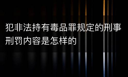 犯非法持有毒品罪规定的刑事刑罚内容是怎样的