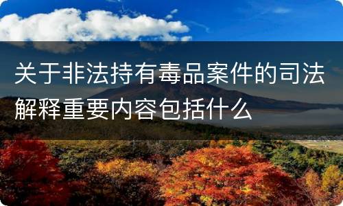 关于非法持有毒品案件的司法解释重要内容包括什么