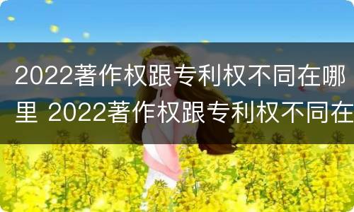 2022著作权跟专利权不同在哪里 2022著作权跟专利权不同在哪里查