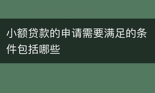 小额贷款的申请需要满足的条件包括哪些