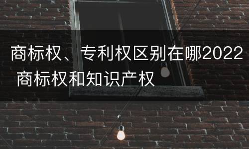 商标权、专利权区别在哪2022 商标权和知识产权