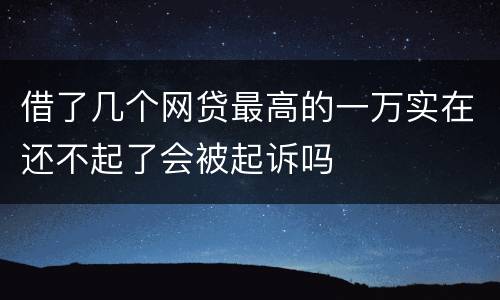 借了几个网贷最高的一万实在还不起了会被起诉吗