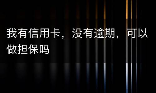 我有信用卡，没有逾期，可以做担保吗