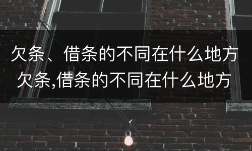 欠条、借条的不同在什么地方 欠条,借条的不同在什么地方写