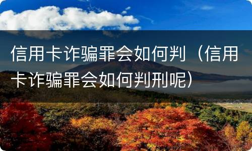 信用卡诈骗罪会如何判（信用卡诈骗罪会如何判刑呢）