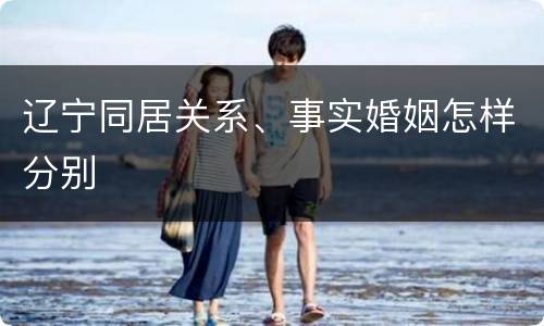 辽宁同居关系、事实婚姻怎样分别