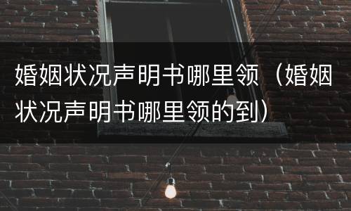 婚姻状况声明书哪里领（婚姻状况声明书哪里领的到）