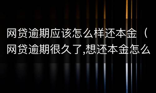 网贷逾期应该怎么样还本金（网贷逾期很久了,想还本金怎么协商）