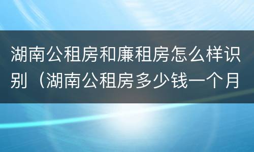 湖南公租房和廉租房怎么样识别（湖南公租房多少钱一个月）