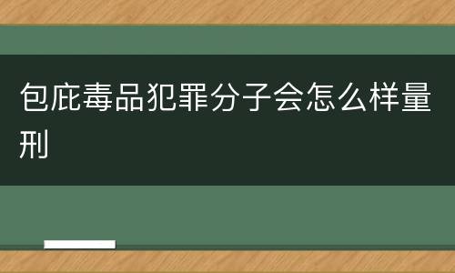 包庇毒品犯罪分子会怎么样量刑