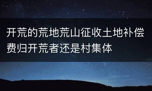 开荒的荒地荒山征收土地补偿费归开荒者还是村集体