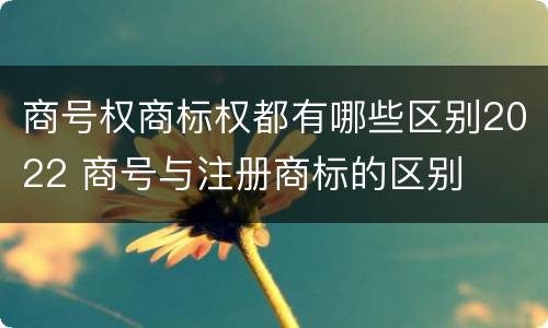 商号权商标权都有哪些区别2022 商号与注册商标的区别