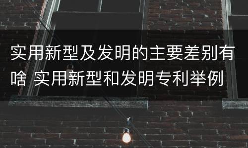 实用新型及发明的主要差别有啥 实用新型和发明专利举例