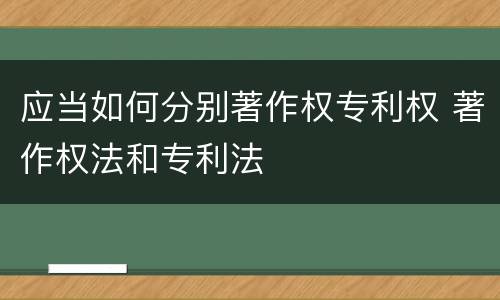 应当如何分别著作权专利权 著作权法和专利法