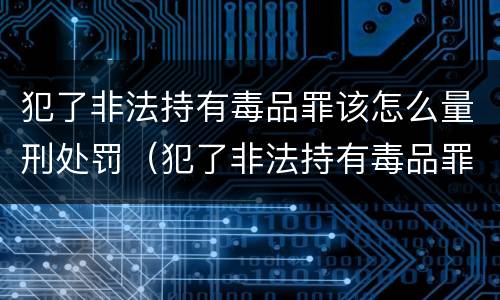 犯了非法持有毒品罪该怎么量刑处罚（犯了非法持有毒品罪该怎么量刑处罚多少钱）