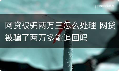 网贷被骗两万三怎么处理 网贷被骗了两万多能追回吗