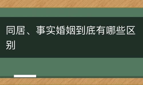 同居、事实婚姻到底有哪些区别