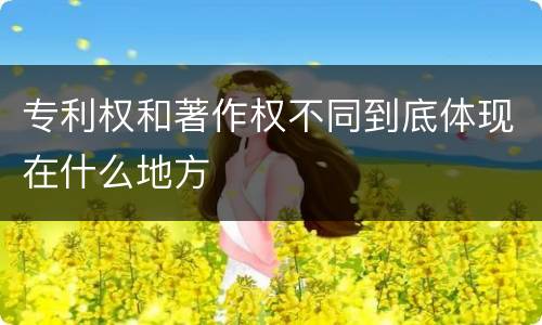 专利权和著作权不同到底体现在什么地方