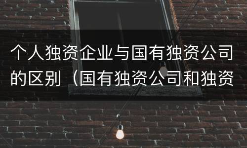 个人独资企业与国有独资公司的区别（国有独资公司和独资企业的区别）