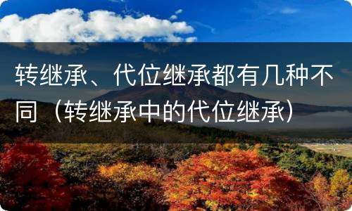 转继承、代位继承都有几种不同（转继承中的代位继承）