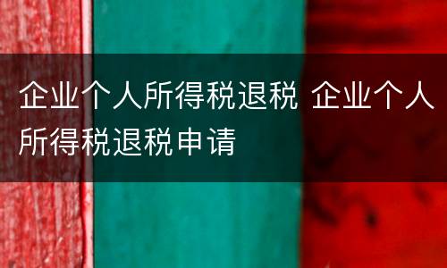 企业个人所得税退税 企业个人所得税退税申请