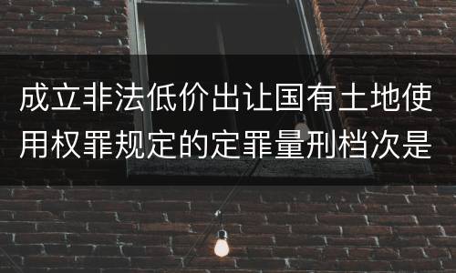 成立非法低价出让国有土地使用权罪规定的定罪量刑档次是怎样的