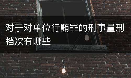 对于对单位行贿罪的刑事量刑档次有哪些