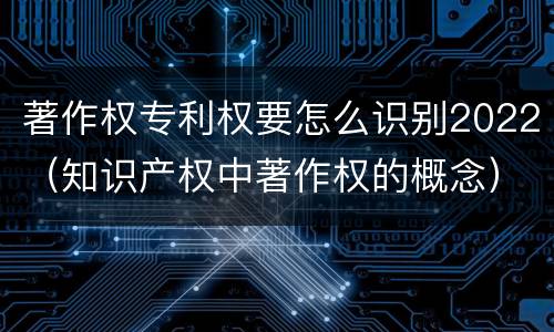 著作权专利权要怎么识别2022（知识产权中著作权的概念）