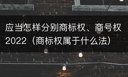 应当怎样分别商标权、商号权2022（商标权属于什么法）