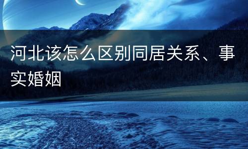 河北该怎么区别同居关系、事实婚姻